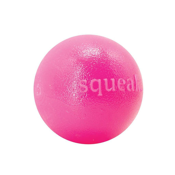 Planet Dog Orbee-Tuff Squeak Ball Dog Toy, Pink