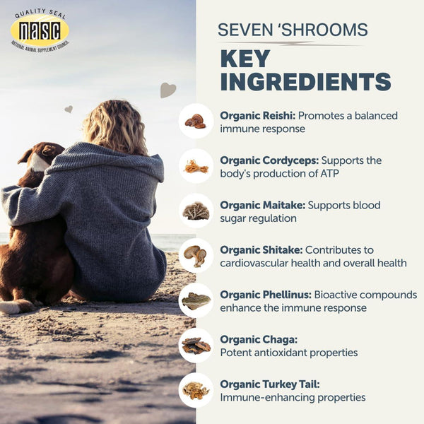 Four Leaf Rover Seven Shrooms Dog Supplement