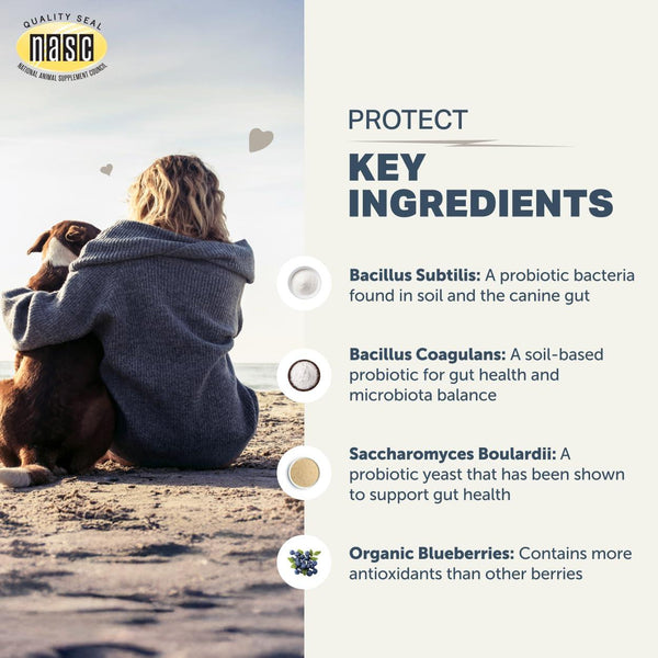 Four Leaf Rover Protect Soil-Based Probiotics Dog Supplement