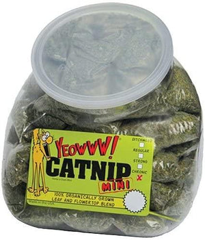 Ducky World Jouet D'Herbe À Chat, Jarre D'Herbe À Chat, En Sachet