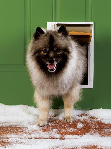 Petsafe Porte Extreme Meteo