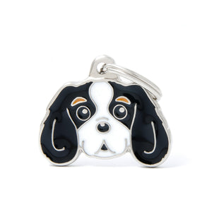 MyFamily Cavalier King Médaille d'identification pour animaux de compagnie, tricolore