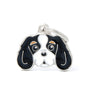 MyFamily Friends Cavalier King Pet ID Tag, Tricolour, Medium