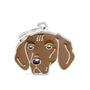 MyFamily Friends Vizsla Pet ID Tag, Medium