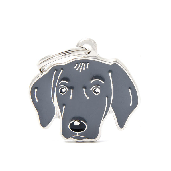 MyFamily Friends Weimaraner Pet ID Tag, Medium