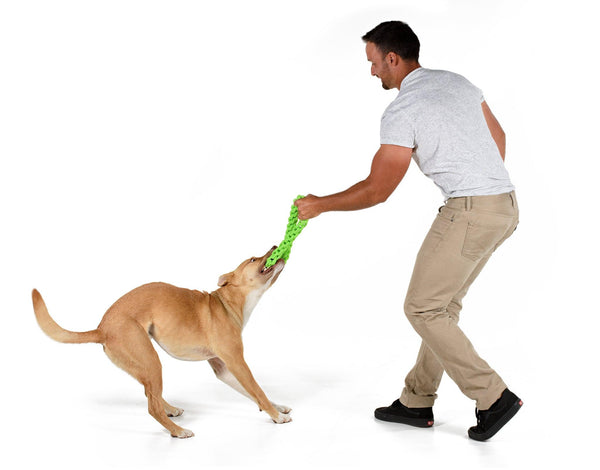 RompiCatz Jouet pour chien Tug N' Toss Rope, Vert