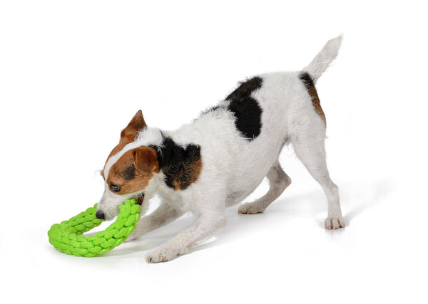 RompiCatz Jouet pour chien Tug N' Toss Rope, Vert