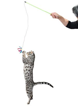 RompiCatz Jouet pour chat Rustlin Winged Bug Teaser