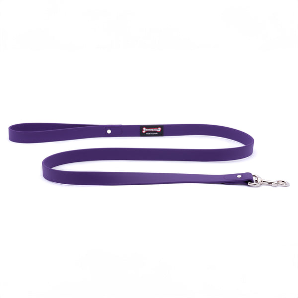 Smoochy Poochy Polyvinyl Waterproof Regular Style Dog Leash, Purple