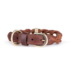 MyFamily Ascot Dog Collar, Brown