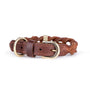 MyFamily Ascot Dog Collar, Brown
