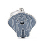 MyFamily Friends Neapolitan Mastiff Pet ID Tag, Medium