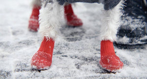 Goo-eez All Terrain Dog Boots, Red