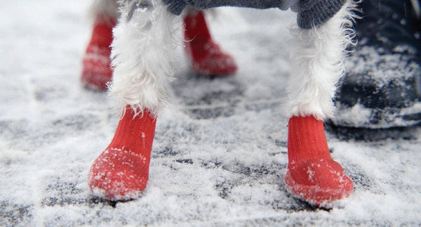 Goo-eez Bottes pour chien tout terrain, rouge
