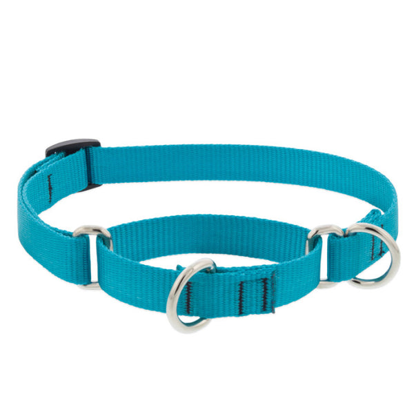 Lupine Pet Collier martingale Basic Solids, Aqua