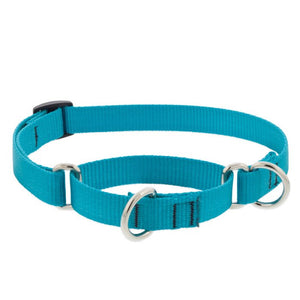 Lupine Pet Basic Solids Martingale Dog Collar, Aqua