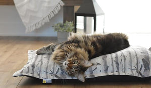 BeOneBreed Cloud Birch Wood Coussin orthopédique pour animaux, gris/beige