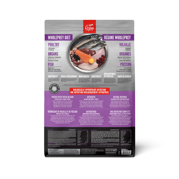 ORIJEN Kitten Dry Cat Food