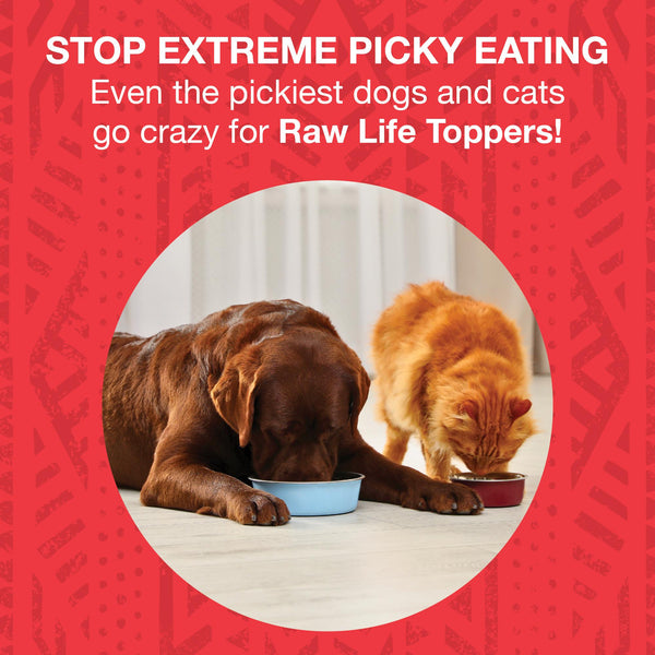 KOHA Raw Life Beef Freeze-Dried Dog & Cat Food Topper