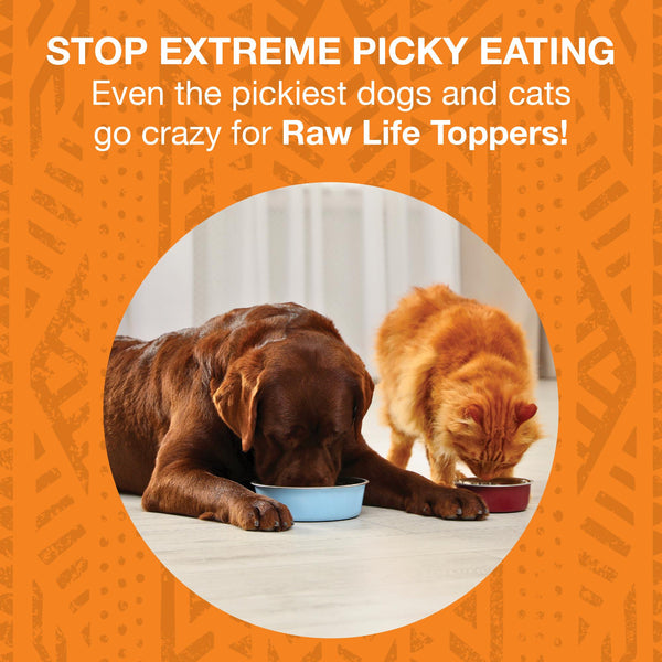 KOHA Raw Life Chicken Freeze-Dried Dog & Cat Food Topper