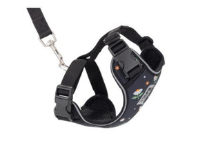 RC Pets Adventure Kitty Cat Harness, Daisies