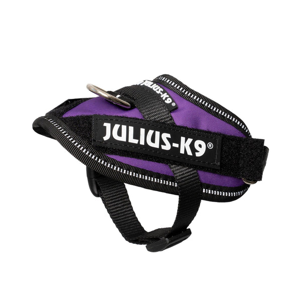 Julius-K9 Harnais IDC Powerharness pour chien, Violet foncé