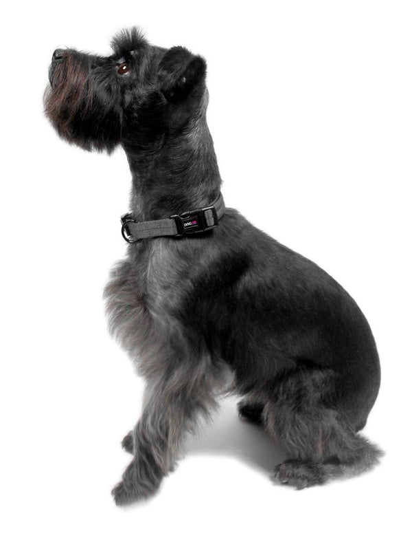 Dogline Nylon Flat Dog Collar, Grey
