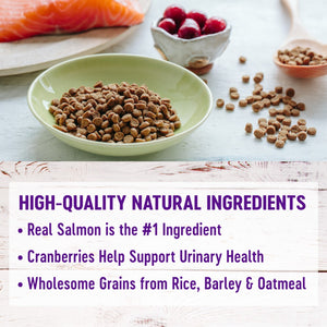 Wellness Complete Health Wholesome Grains Salmon & Salmon Meal Dry Cat Food