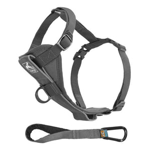 Kurgo Tru-Fit Smart Dog Walking Harness