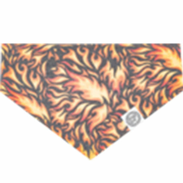 Canada Pooch Follow Me Dog Bandana, Flame