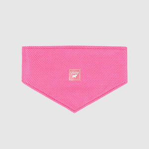 Canada Pooch Dog Cooling Bandana, Neon Pink