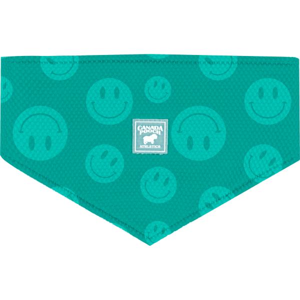 Canada Pooch Dog Cooling Bandana, Wet Reveal
