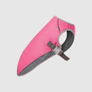 Canada Pooch Chill Seeker Dog Cooling Vest, Neon Pink