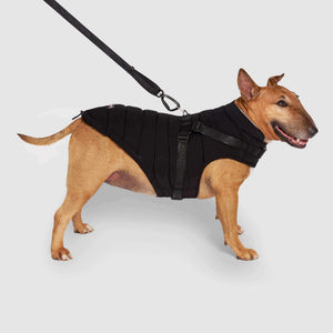 Canada Pooch Puffer Dog Harness, Black