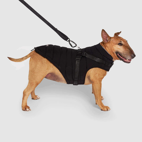 Canada Pooch Puffer Dog Harness, Black