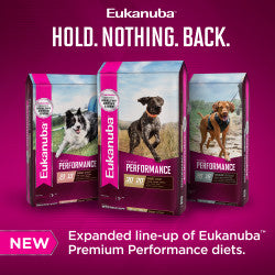 Eukanuba Performance Work 30/20 Dry Dog Food