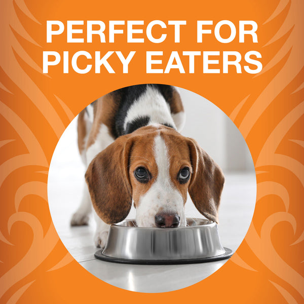 KOHA Raw Life Chicken Entree Freeze-Dried Raw Bites for Dogs