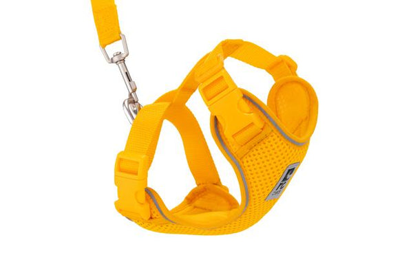RC Pets Adventure Kitty Cat Harness, Marigold