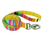 Sublime Dog Leash, Sublime Stripe with Gold Plaid