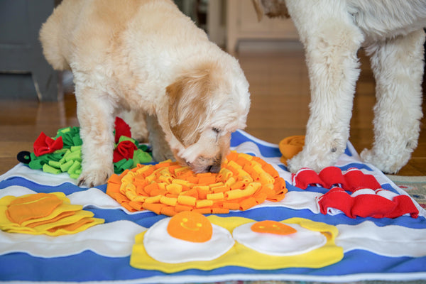 Injoya Breakfast Snuffle Mat Dog Toy