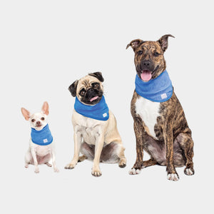 GF Pet Ice Band Dog Cooling Bandana