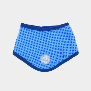 GF Pet Ice Band Dog Cooling Bandana