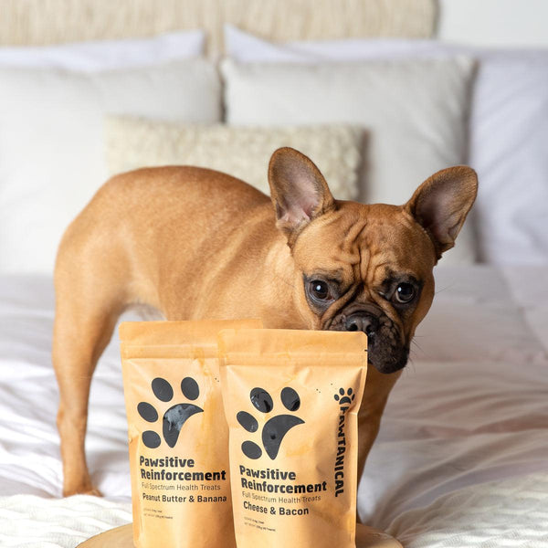 Pawtanical Pawsitive Reinforcement Health Cheese & Bacon Dog Treats