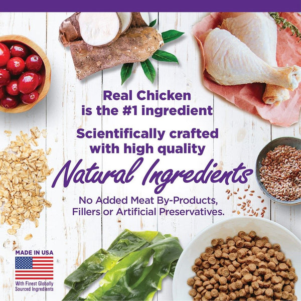 Wellness Complete Health Chaton Poulet & Farine de Poulet Croquettes pour chats