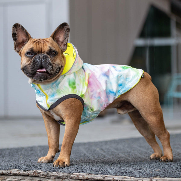 GF Pet Reversible Dog Raincoat, Neon Yellow/Tie-Dye