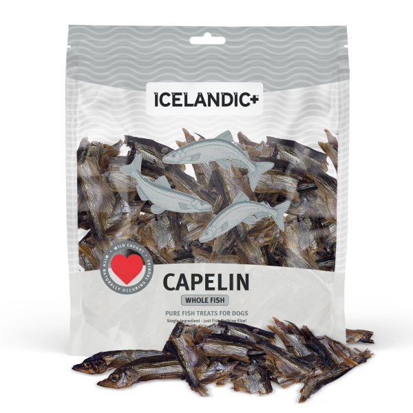 Icelandic+ Capelin Whole Fish Dog Treats