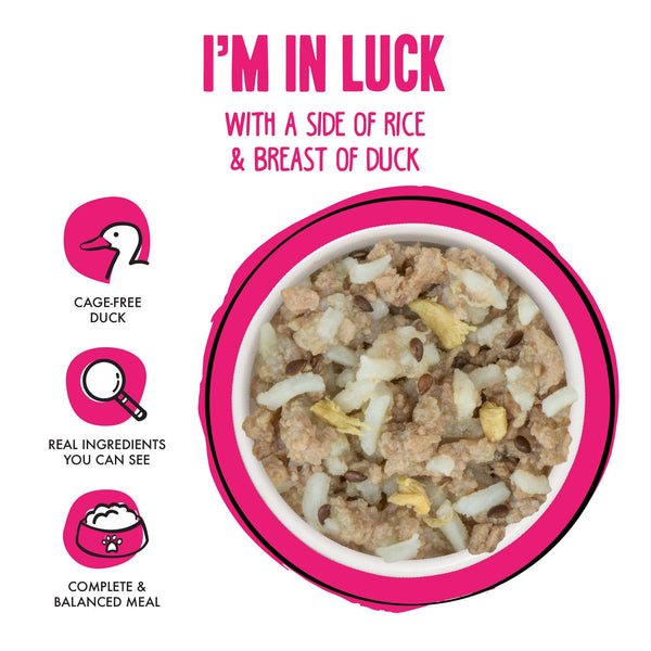BFF Fun Size Meals I'm In Luck avec riz et blanc de canard repas humide pour chien