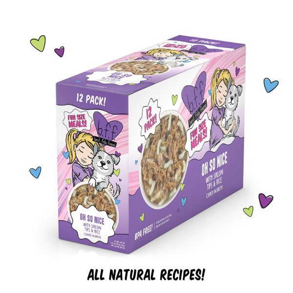 BFF Fun Size Meals Oh So Nice with Sirloin Tips & Rice Wet Dog Food Cup