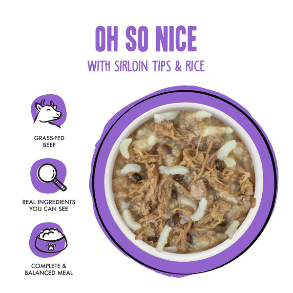 BFF Fun Size Meals Oh So Nice with Sirloin Tips & Rice Wet Dog Food Cup