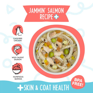 Weruva Meals 'n More Recette Jammin' au saumon Plus dans soupe à la citrouille repas humide pour chien